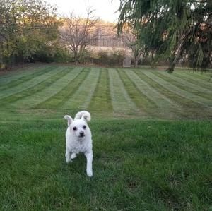 Meet your Posher, Craig